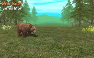 wild-bear-simulator-3d-0986776