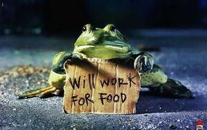 will work for food