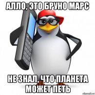 pingvin zvonit 168966412 orig 