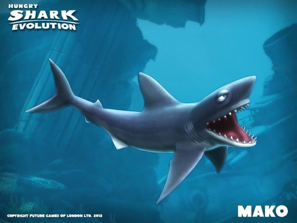 hungry shark evolution map shells mako