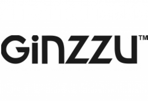  Ginzzu logo 
